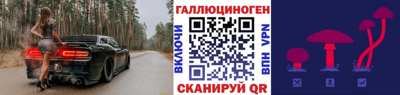 Купить где  Бобров  Псилоцибиновые грибы Psilocybine cubensis 